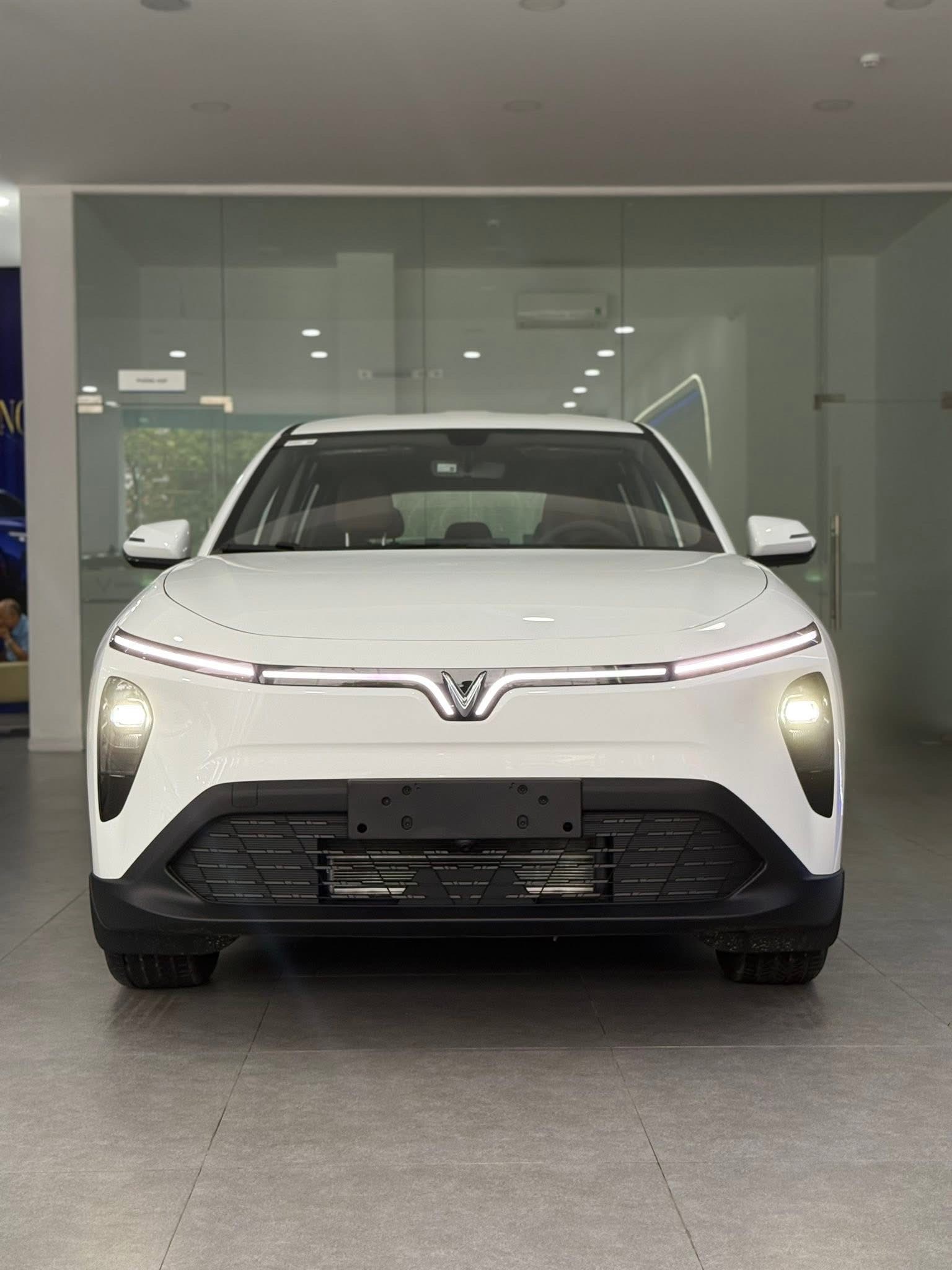 VF Mpv 7